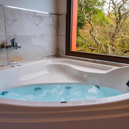 El Pastel タコロンテ